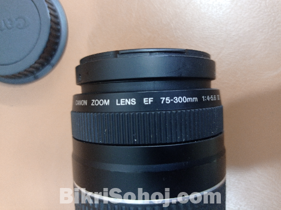 Canon 75-300mm
